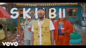 Skiibii – Are You Vhere