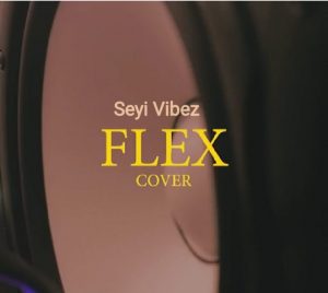 Kizz Daniel Flex