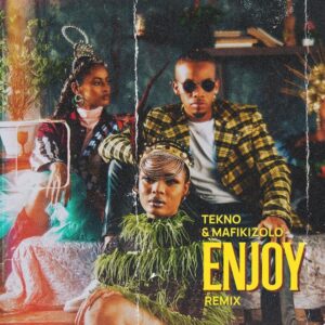 Tekno Enjoy Remix Video