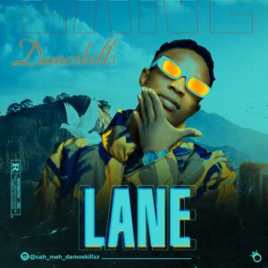 Larrylanes Different Lane Album