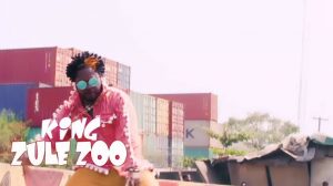 Zule Zoo Get Sense Video