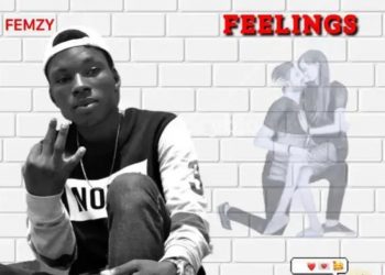 Lady Lina Ft Frankzeewy Feelings