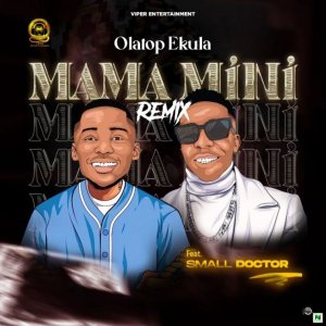 small doctor mama mini