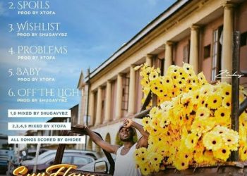 jaywillz sunflower mp3 download