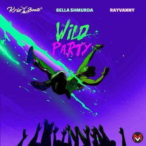 Bella Shmurda Wild Party