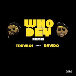 Davido Who Dey Check Am