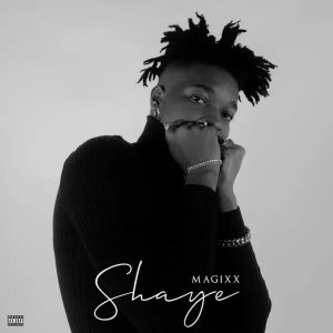 Magixx Shaye Instrumental