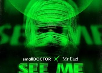 Mr Eazi Legalize Video MP4 Download