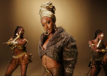 Davido Ogechi Remix Video