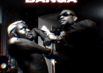 DJ Ecool – Banga Amapiano (Remix)