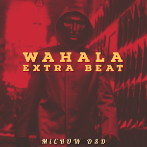 Wahala Extra Free Beat