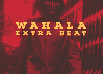 Wahala Extra Free Beat