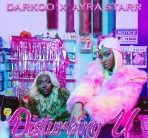 Darkoo Ft Ayra Starr Disturbing U