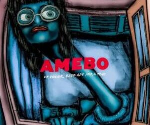 Dr Dolor ft Teni X Bayo Ade Jnr - Amebo