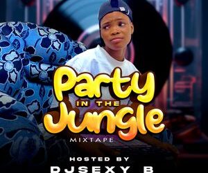 dj cuppy party in the jungle mixtape