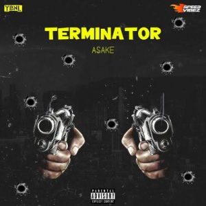 asake terminator instrumental