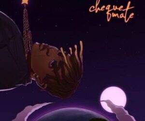 Cheque What Would You Do Without Me Album