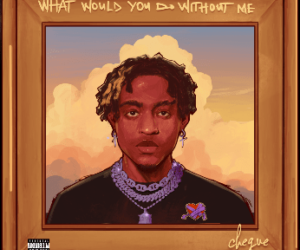 Cheque What Would You Do Without Me Album