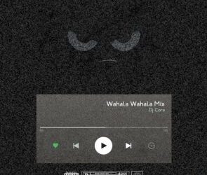 Wahala Extra Free Beat