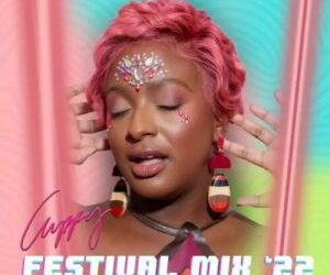 dj cuppy party in the jungle mixtape