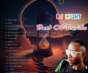 DJ LYGHT Best Of Davido Mixtape