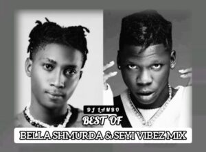 DJ Lambo Best Of Bella Shmurda And Seyi Vibez Mixtape