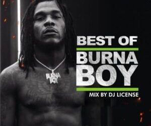 DJ License Best Of Burna Boy Mixtape