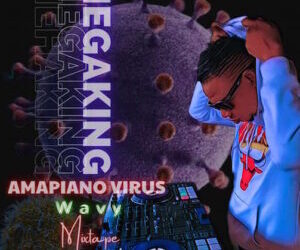 DJ Mega Amapiano Virus Wavy Mixtape