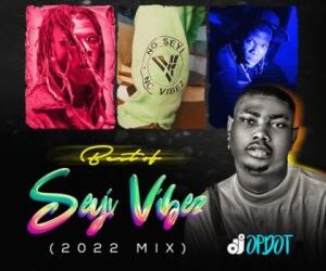 DJ Glitter Best Of Seyi Vibez 2024 Mixtape