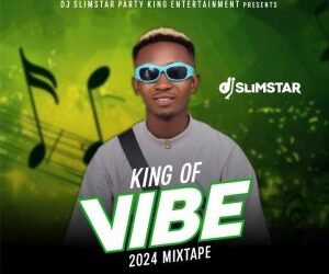 DJ OP Dot Best Of Seyi Vibez 2024 Mixtape