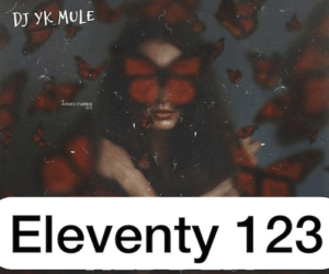 DJ YK Mule Eleventy 123 Beat