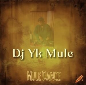 DJ YK Mule Dance Beat