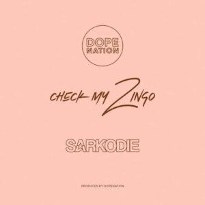 Dope Nation Ft Sarkodie Check My Zingo Remix