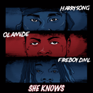 Harrysong She Knows