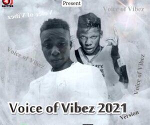 Best Of Seyi Vibez and Dotman