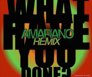 Kel P What Have You Done Amapiano Remix