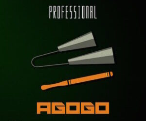 Professional Beat Ft Naijastreamloaded Watimagbo Beat