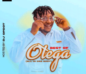 Otega Ft Skiibii Don Julio Remix