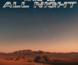 Harmonize Ft. Anjella – All Night