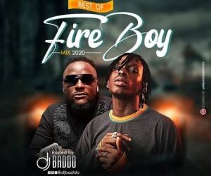 Fireboy Afro Highlife